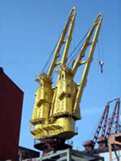 Tsuji twin crane